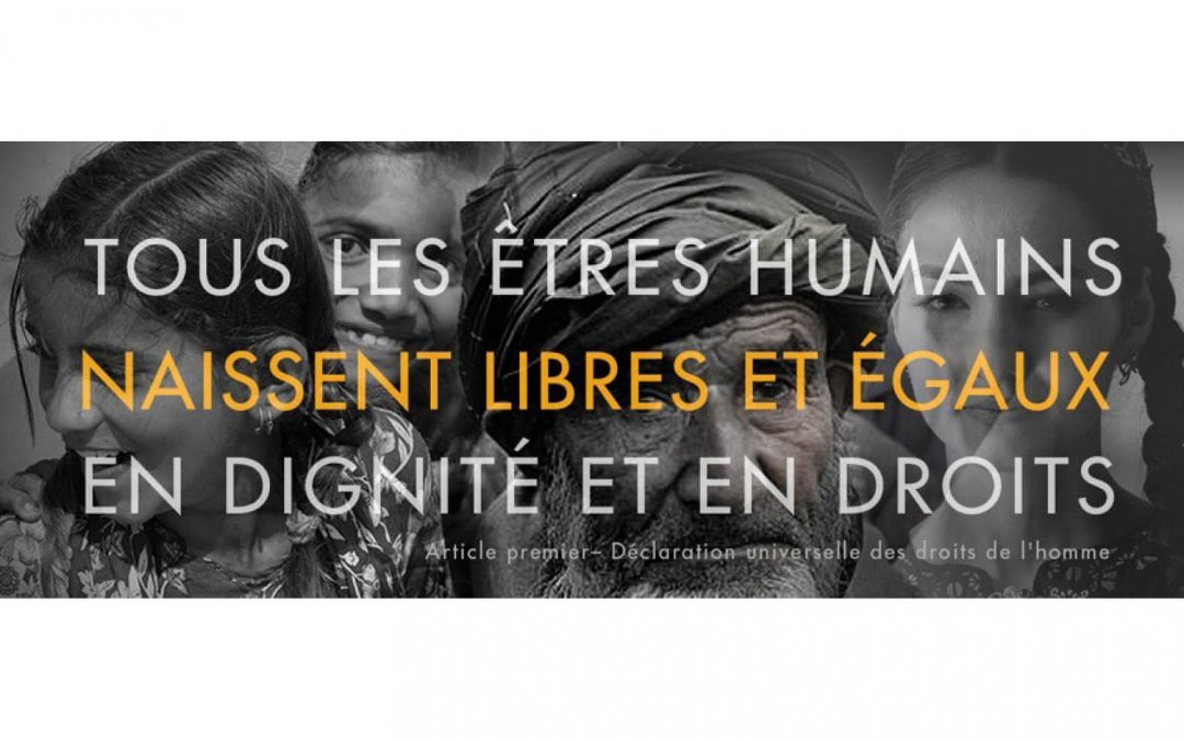 Enjeux et histoire des Droits humains : de la Déclaration Universelle des Droits de l’Homme aux Objectifs de Développement Durable