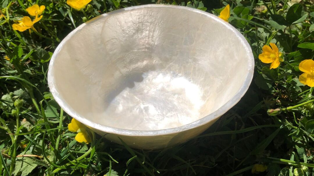 Bol en nacre épais 2